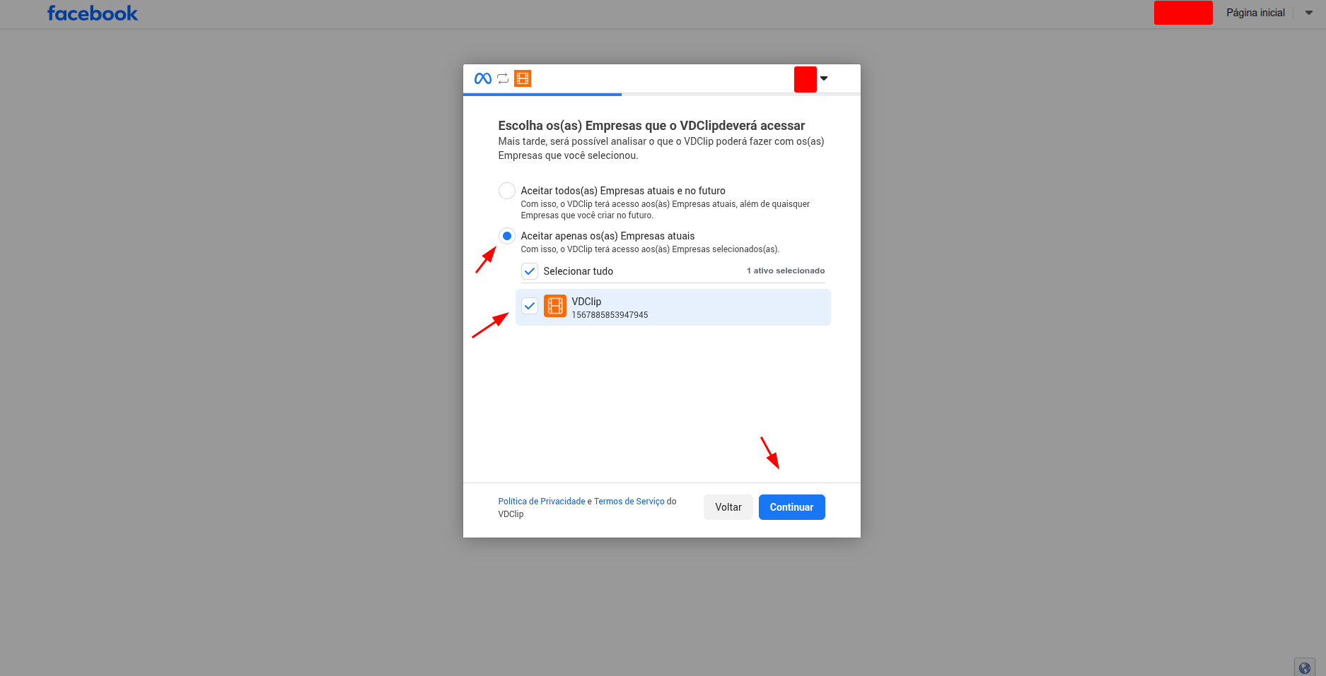 Facebook Business selection screen
