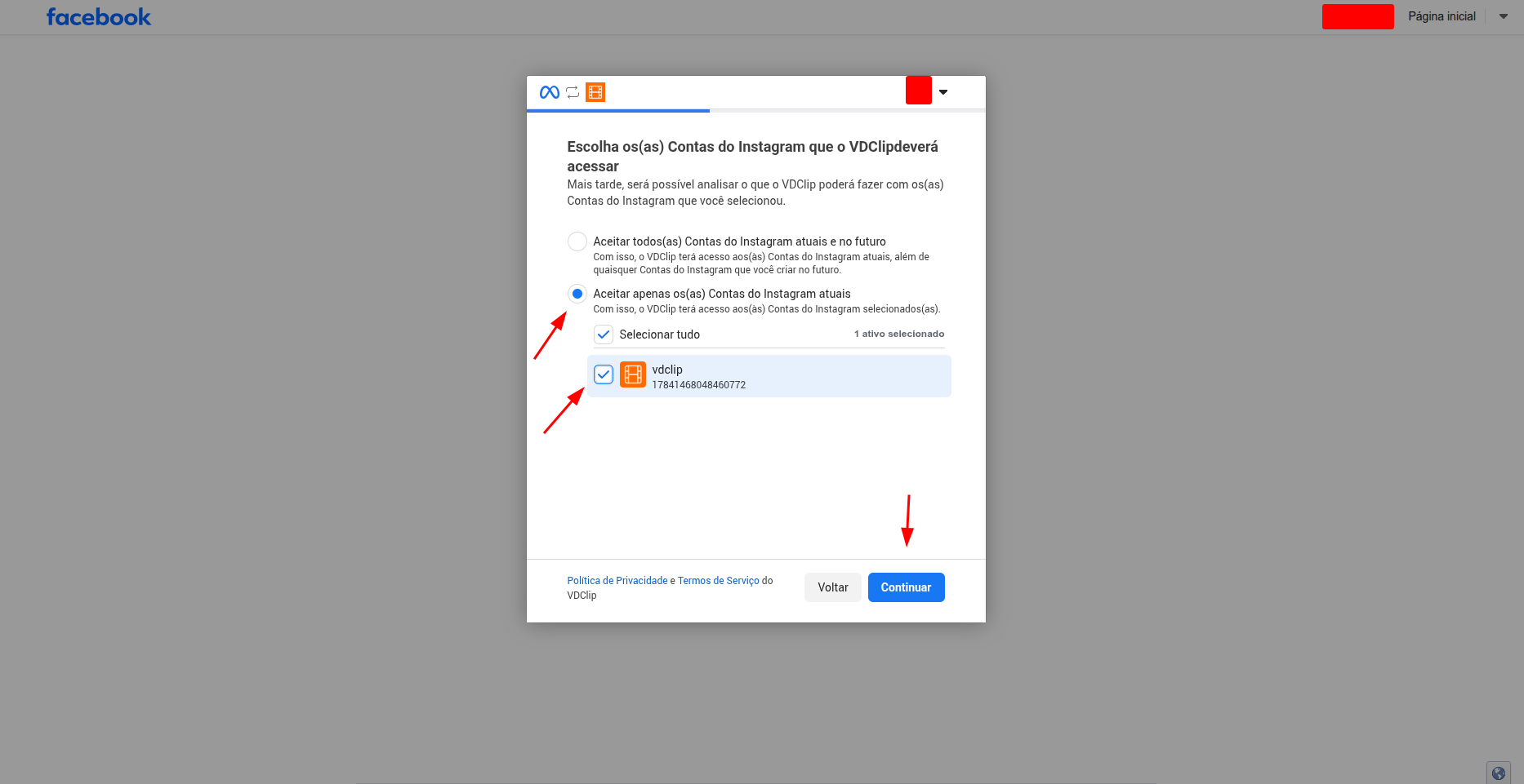 Permissions authorization screen
