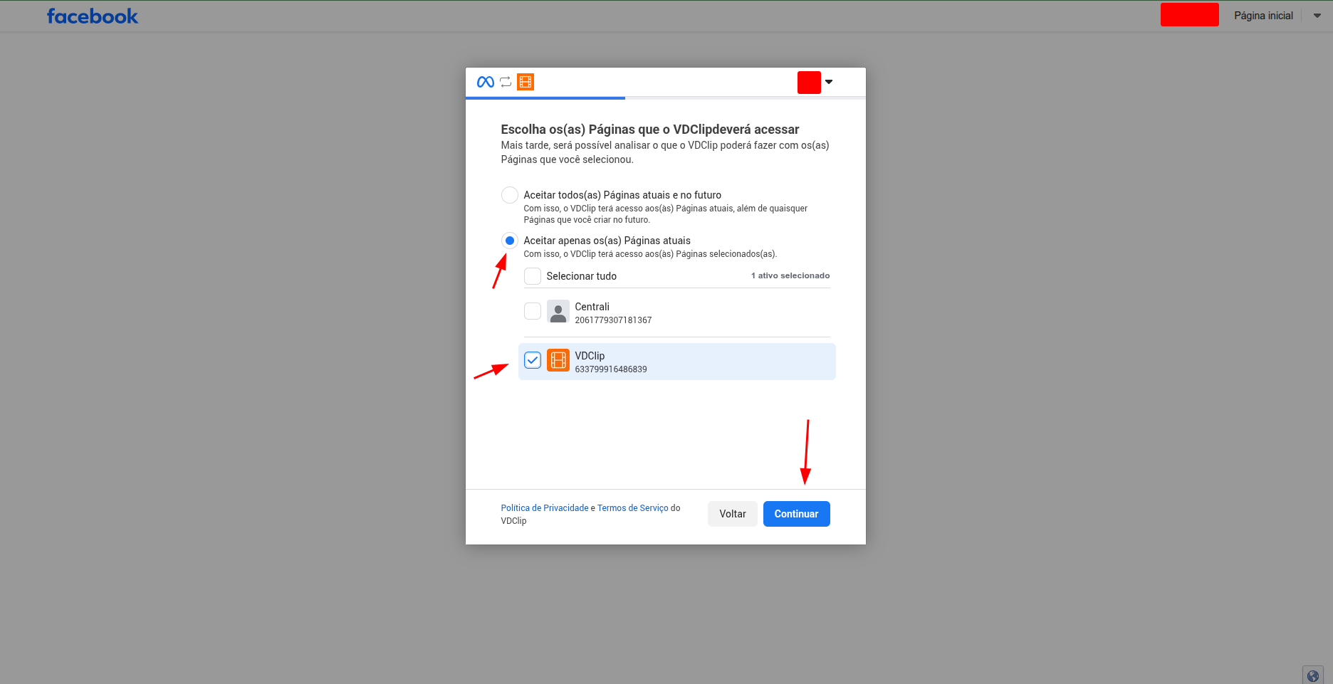 Facebook Pages selection screen